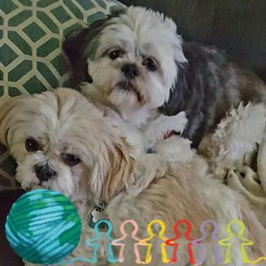 Meet your Posher, Norma